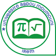 Institute for Research on Mathematics Teaching (IREM)